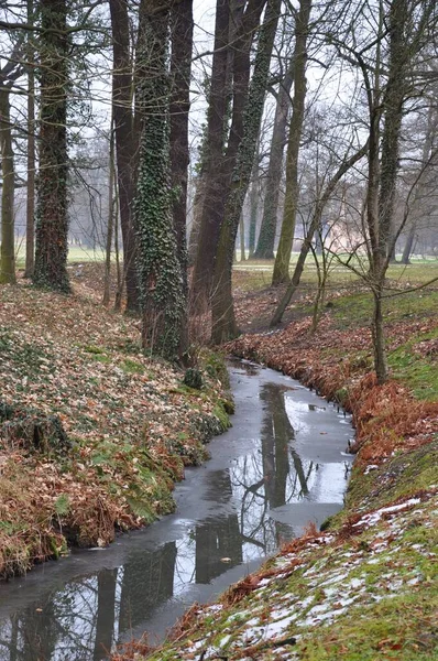 Piękny Widok Przyrodę — Zdjęcie stockowe