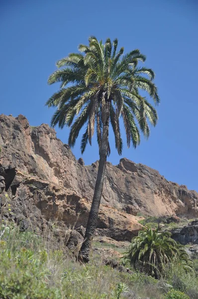 Landschap Buurt Van Soria Oma Canaria — Stockfoto