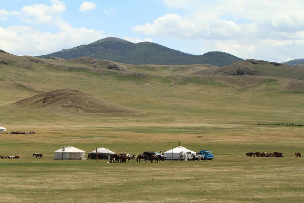 Yurtas Aldeas Estepa Mongolia — Foto de Stock