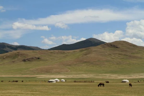 蒙古草原上的尤尔茨和村庄 — 图库照片