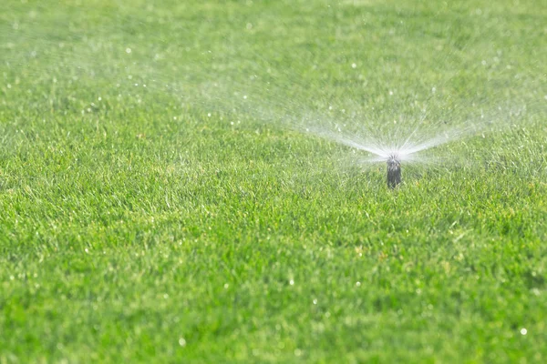 Sprinkler Wässert Frischen Rasen — Stockfoto