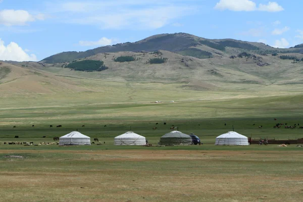 Yourtes Villages Dans Steppe Mongolienne — Photo