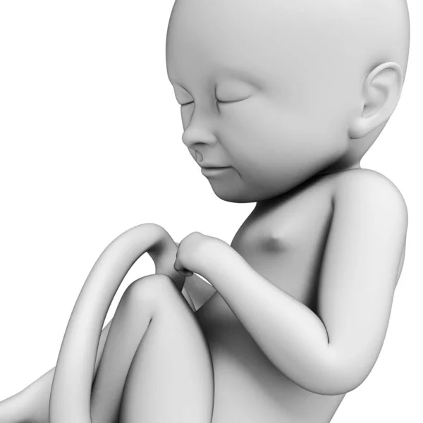 3D描述胎儿 第8个月 — 图库照片