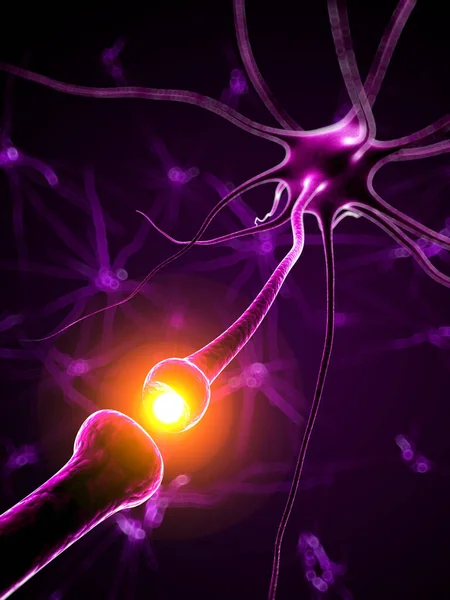 3D演示医学说明 活动神经元 — 图库照片
