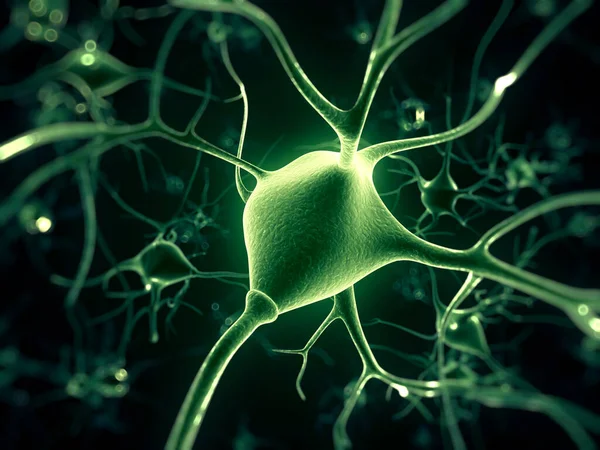 Rendered Illustration Nerve Cell — Stock Photo, Image