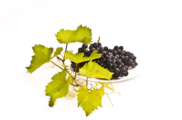 Frische Rote Trauben Mit Weinblättern Auf Weißem Hintergrund — Stockfoto