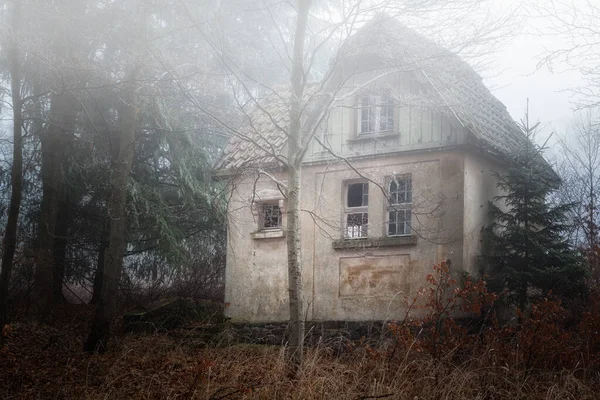 Maison Debout Dans Forêt Brumeuse — Photo