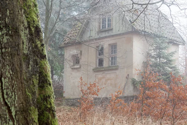 Dům Mlhavém Lese Stojící — Stock fotografie