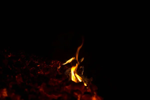 Brennholz Großaufnahme Lagerfeuer Verbrannt — Stockfoto
