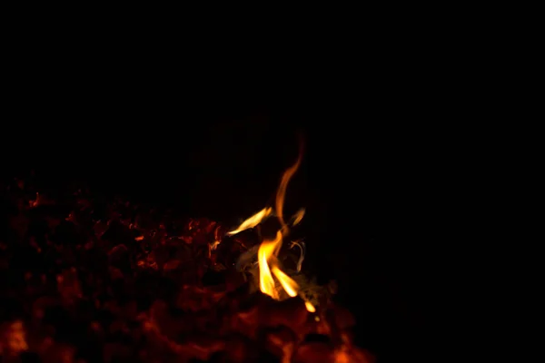 Firewood Burned Bonfire Closeup — Stock Photo, Image