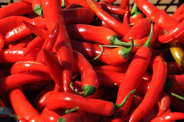 Marché Hebdomadaire Espagne Poivrons — Photo