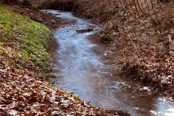 Rivière Qui Coule Dans Forêt — Photo