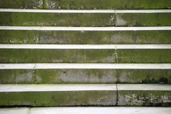 Фотография Заросшей Мхом Лишайником Лестницы — стоковое фото