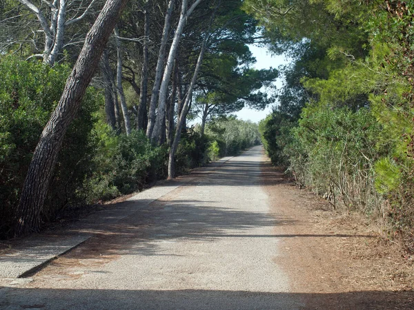 Mallorca Mallorca Spaniens Balearerna Medelhavet — Stockfoto