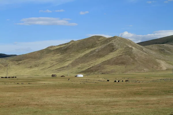 Parc National Orkhon Valley Mongolie — Photo