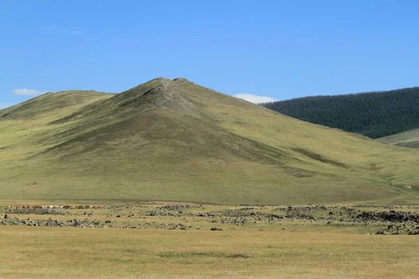 Parc National Orkhon Valley Mongolie — Photo