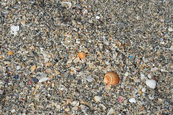 Spiaggia Fuengerola Andalusia Spagna — Foto Stock