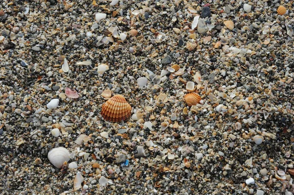 Fuengerola Plajı Endülüs Spanya — Stok fotoğraf