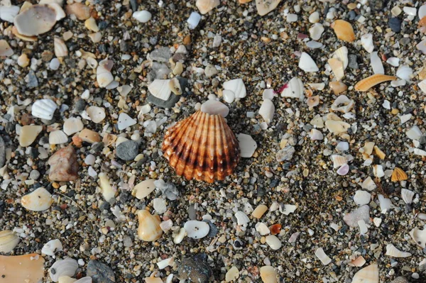 Παραλία Στην Fuengerola Andalusia Spain — Φωτογραφία Αρχείου