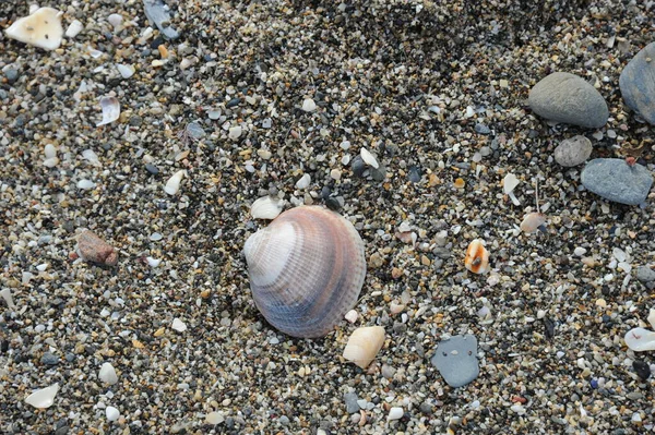 Playa Fuengerola Andalucia España — Foto de Stock