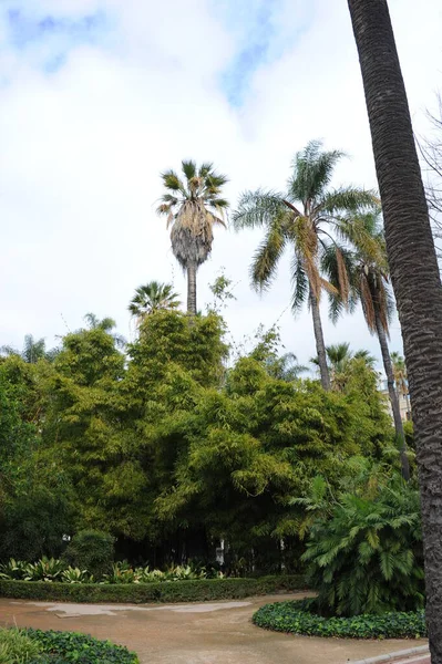 Stadtpark Στη Μάλαγα Ισπανία — Φωτογραφία Αρχείου