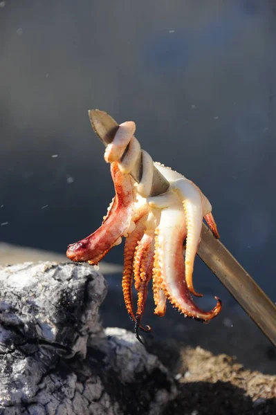 Malaga Spanyolország Szépia Tintahal Fischbraterei — Stock Fotó