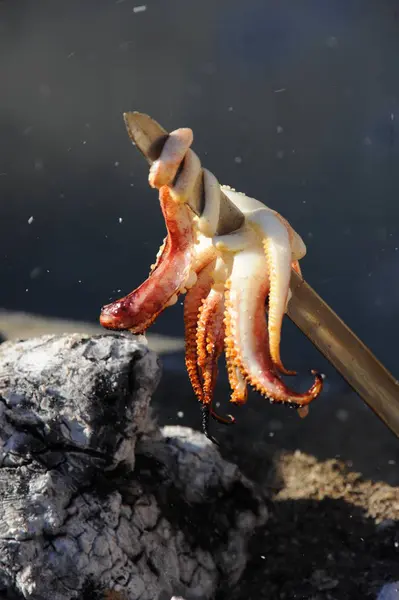 Malaga Spain Sepia Squid Fish Bar — Stock Photo, Image