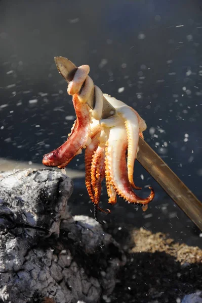 Μαλάγκα Ισπανία Σέπια Καλαμάρια Fish Bar — Φωτογραφία Αρχείου