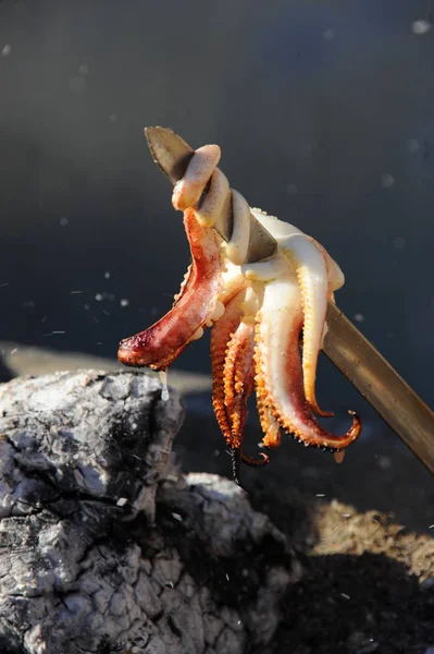 Malaga Spanien Sepia Tintenfisch Fischbar — Stockfoto