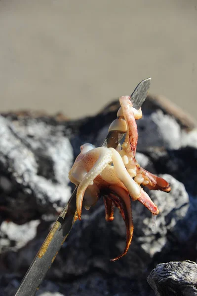 Malaga Španělsko Sépie Olihně Fischbraterei — Stock fotografie