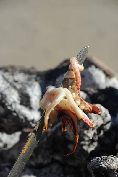 Malaga Spanien Sepia Tintenfisch Fischbraterei — Stockfoto