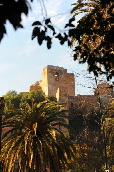 Malaga Daki Şehir Parkı Spanya — Stok fotoğraf