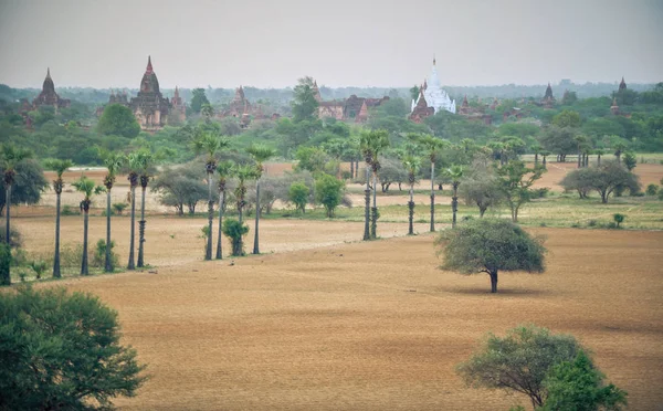 Αρχαίου Ναού Στην Μπαγκάν Μετά Από Ηλιοβασίλεμα Βιρμανία Myanmar — Φωτογραφία Αρχείου