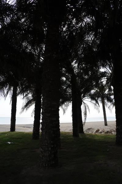 Município Torremolinos Espanha — Fotografia de Stock