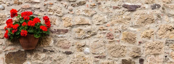 Pienza Toscane Italië Oude Muur Met Bloemen — Stockfoto