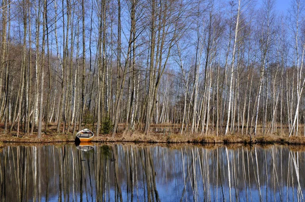 Schöne Aussicht Auf Die Natur — Stockfoto