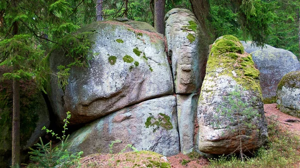 Polished Granite Rocks Blockheide Waldviertel Lower Austria — 스톡 사진