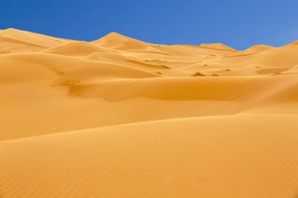 Erg Chebbi Deserto Morocco — Fotografia de Stock
