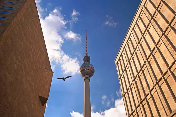 Fernsehturm Deutschland Berlin Tower Germany Berlin — Zdjęcie stockowe