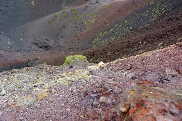 Italien Italien Sicilien Etna Vulkanaska Och Sten Nplantans Tillväxt Lavaaska — Stockfoto