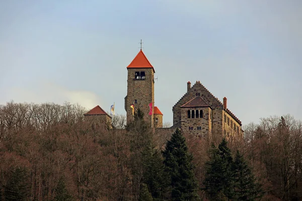 Pohled Wachenburg Únoru — Stock fotografie