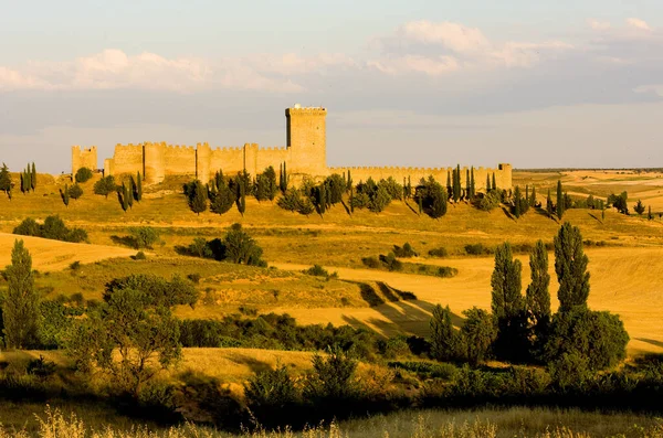 Penaranda Дуеро Замок Провінція Бургос Кастилья Леон Іспанія — стокове фото