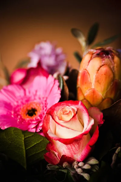 Närbild Bild Med Blandade Färgglada Blommor — Stockfoto