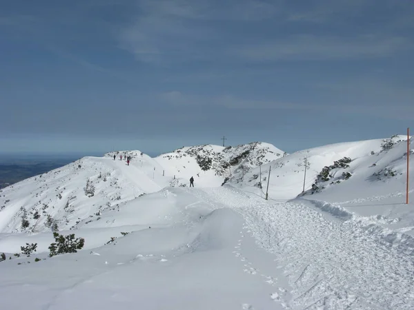 Schilderachtig Uitzicht Prachtig Alpenlandschap — Stockfoto