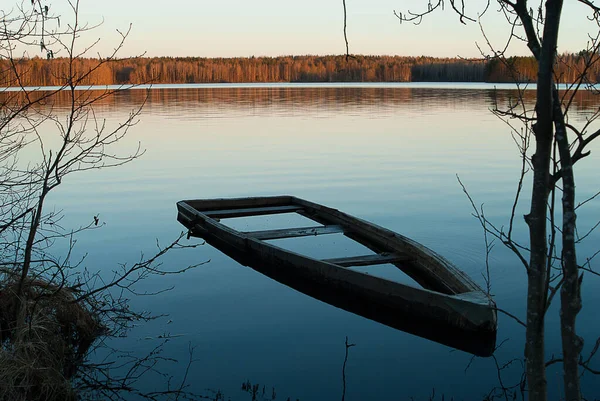 Barco Inundó Junto Lago Algún Lugar Región Whild Leningrado —  Fotos de Stock