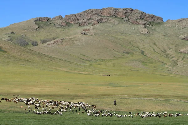 Landscapes Mongolian — Stock Photo, Image