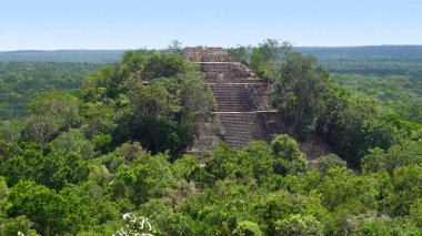 overgrown temple at calakmul,a mayan archaeological site in the mexican state of campeche clipart