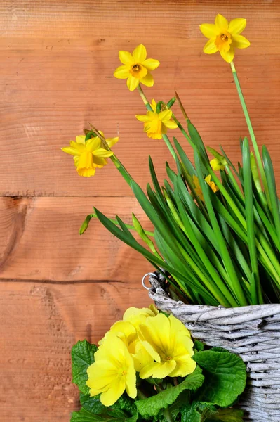 Fiori Primaverili Sfondo Legno — Foto Stock