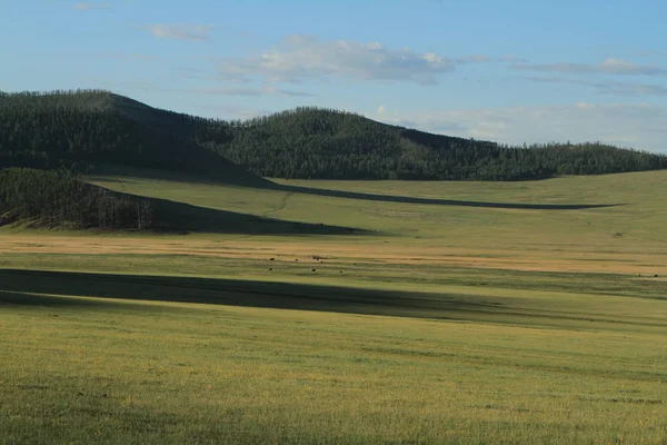 Krajiny Mongolska — Stock fotografie