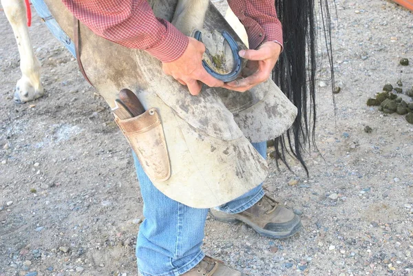 Manlig Farrier Arbetar Hästsko Ranchen — Stockfoto